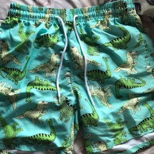 Matching dino bathing suits